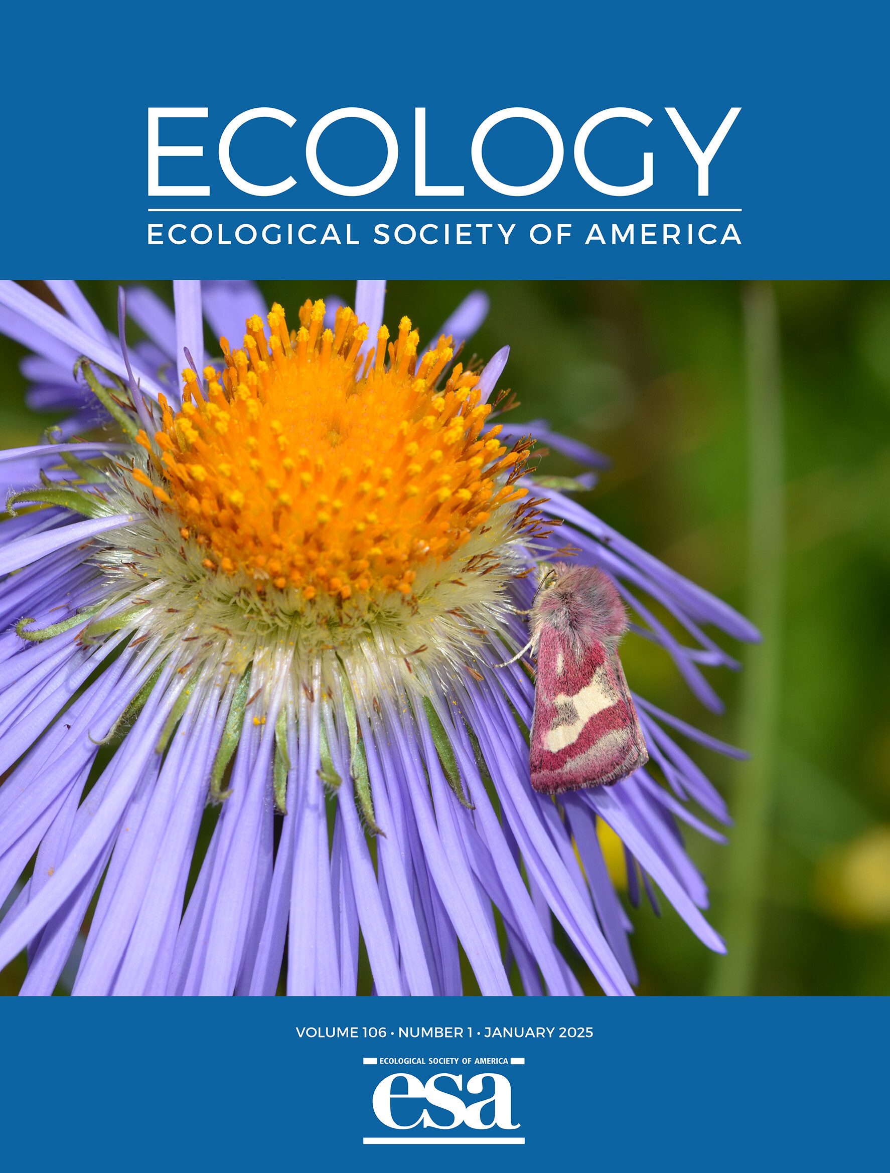 Ecology magazine cover