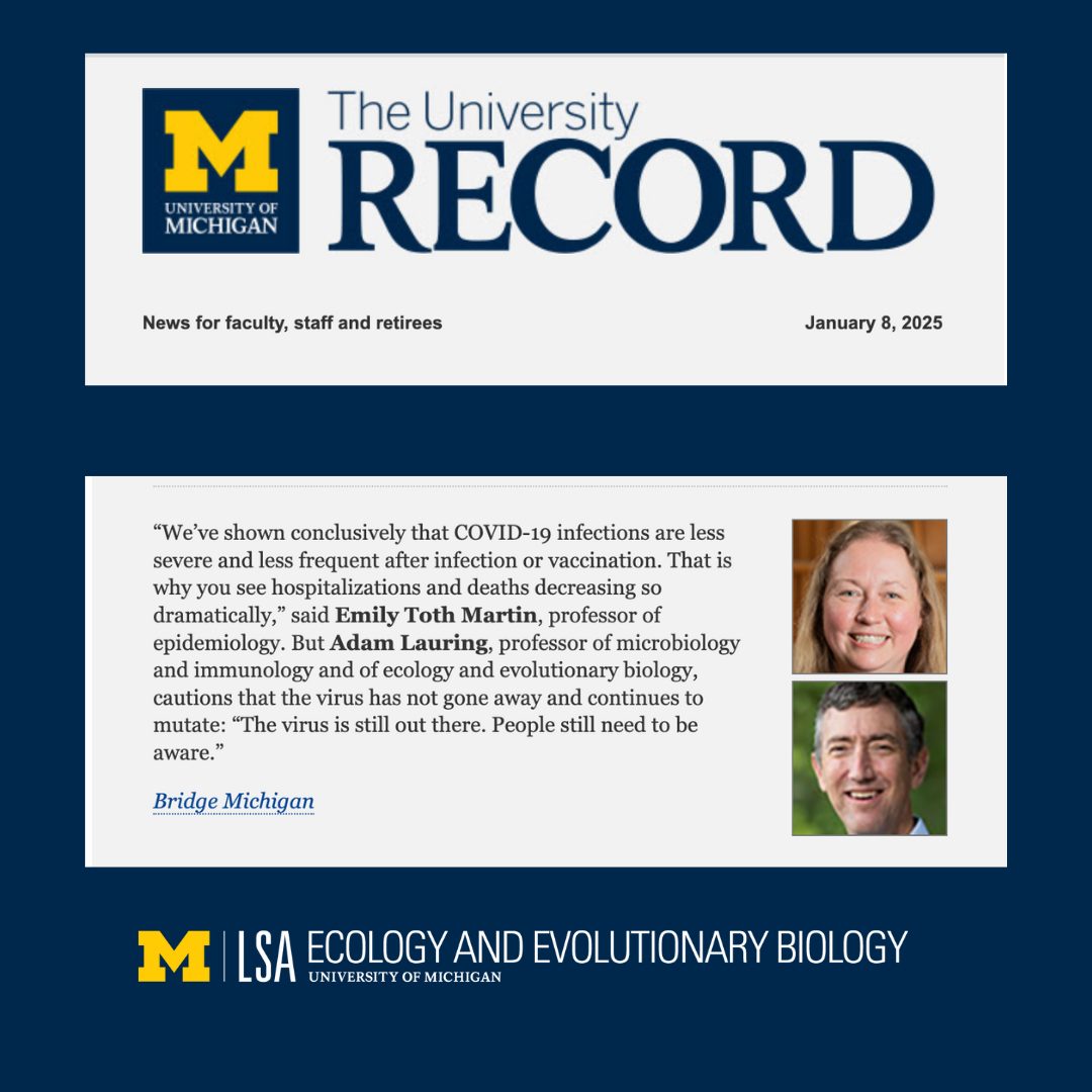 Screenshot of The Record article