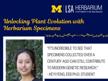 Unlocking Plant Evolution with Herbarium Specimens