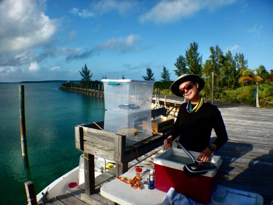 Katrina Munsterman sitting on a wooden dock with research equipment in the Bahamas