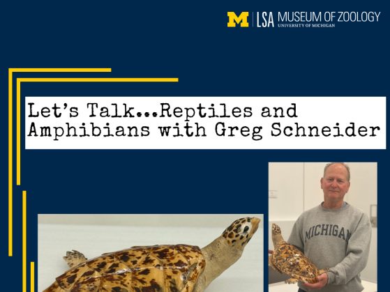 Reptiles and Amphibians with Greg Schneider
