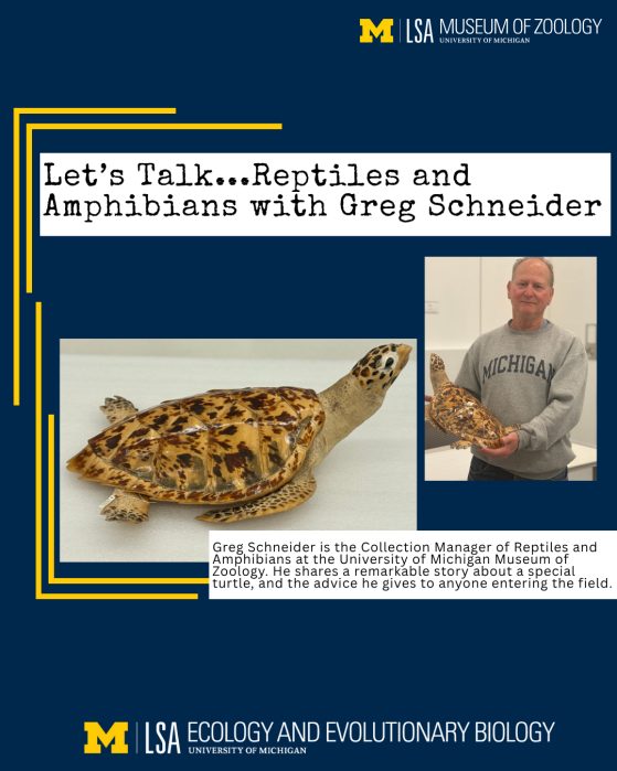 Reptiles and Amphibians with Greg Schneider