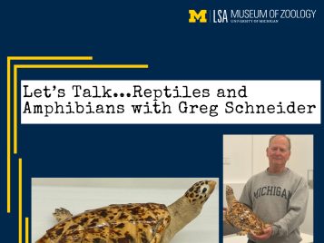 Reptiles and Amphibians with Greg Schneider