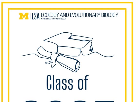 Class of 2025 poster