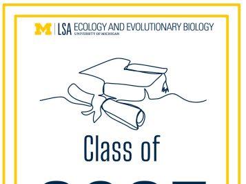 Class of 2025 poster