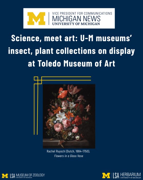 Science, meet art: U-M museums’ insect, plant collections on display at Toledo Museum of Art