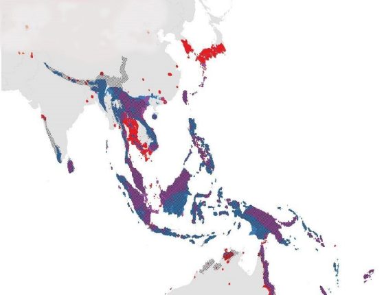 Map highlighting ant biodiversity centers in Asia
