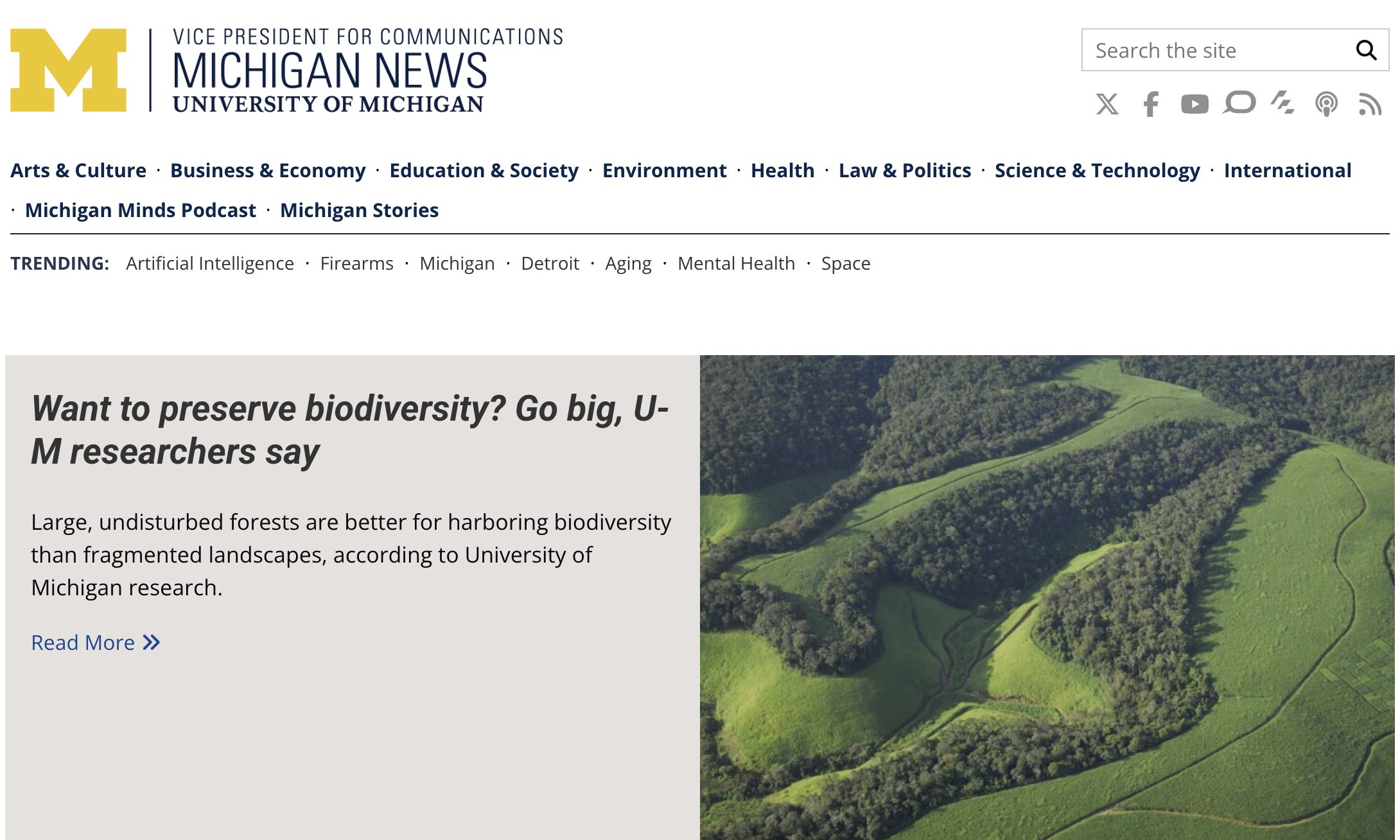 Screenshot of article 