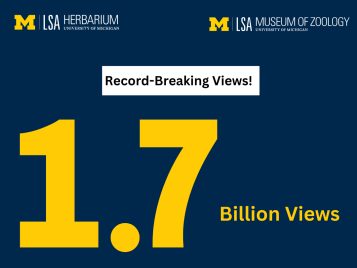1.7 billion views