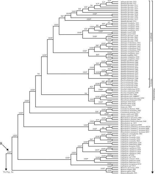 Figure from article 