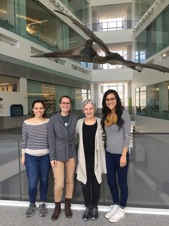 Priscilla Tucker with her final three graduate students, Beatriz Otero Jiménez, Lisa Walsh and Marcella Baiz, all three very accomplished women scientists. Standing in front of the quetzalcoatlus in the Museum of Natural History. 