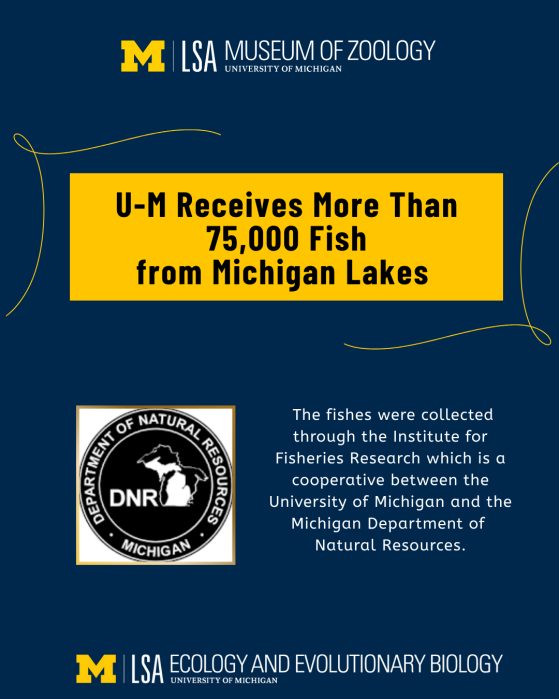 U-M Fish Collection Receives More Than 75,000 Specimens from Michigan Lakes