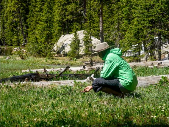 Dr. Anshuman Swain in the field