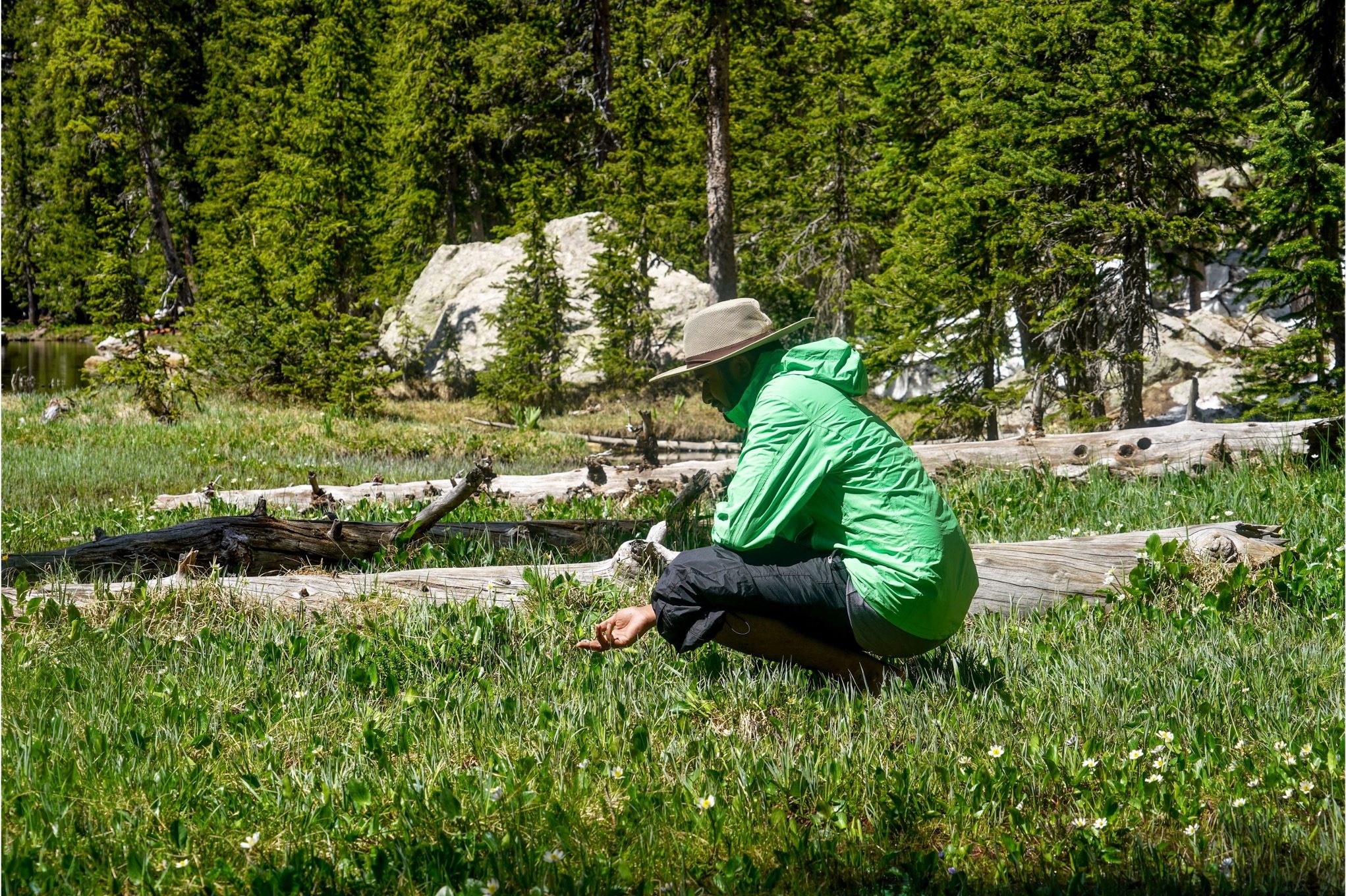 Dr. Anshuman Swain in the field