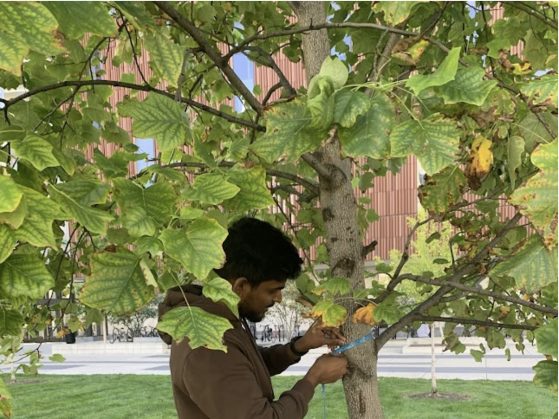 Student on campus