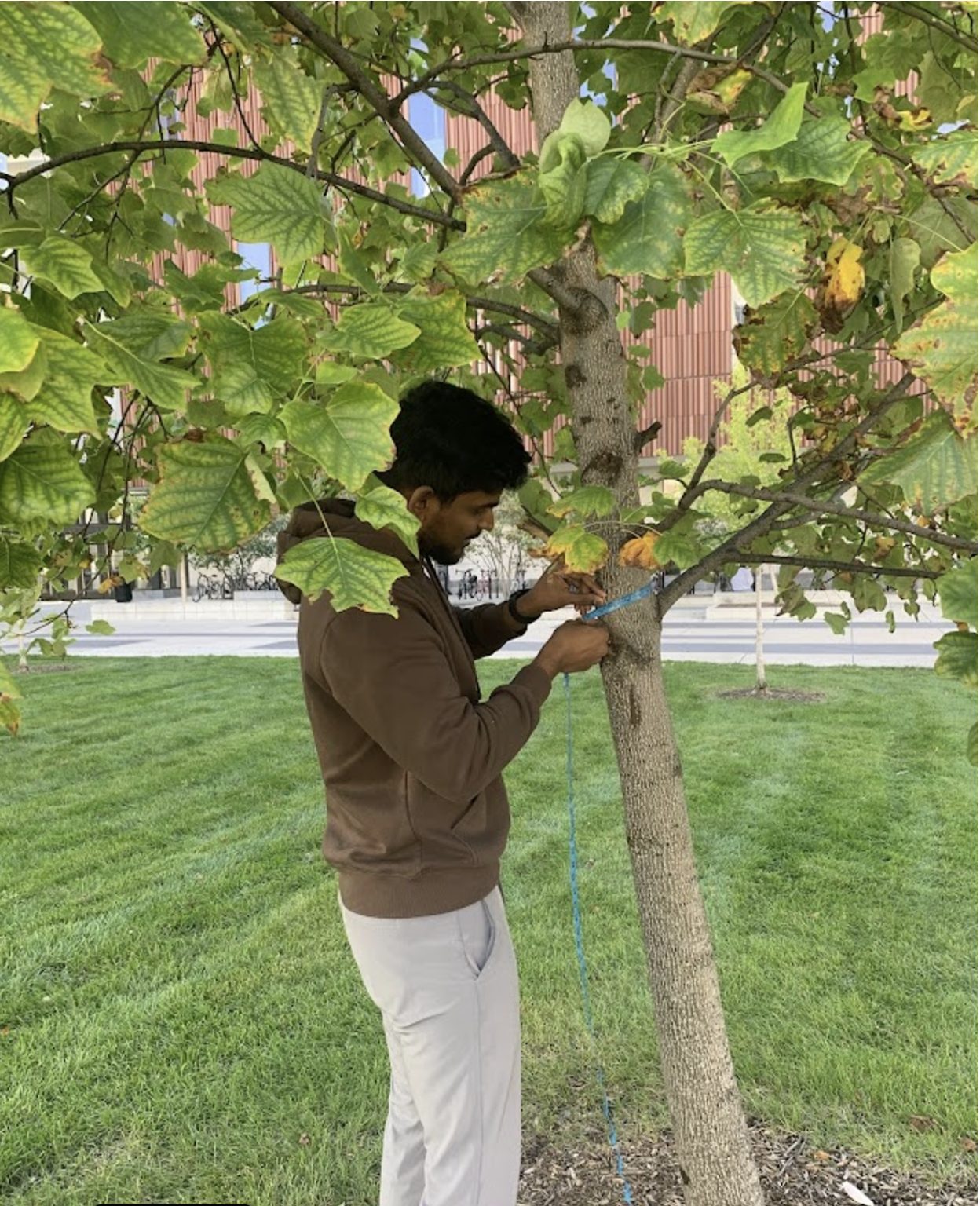 Student on campus