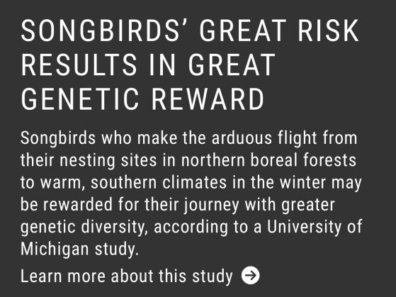 Songbirds’ great risk results in great genetic reward
