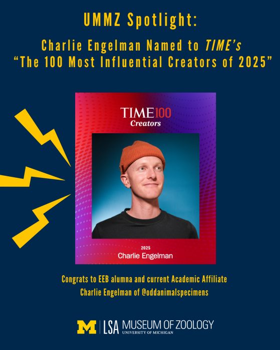 Charlie Engleman