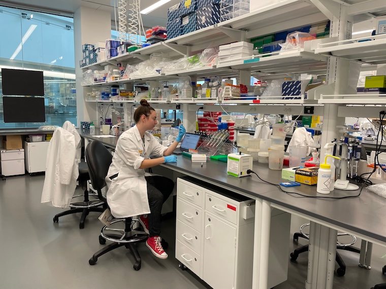 Undergrad in lab