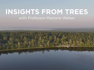 insights-from-trees-1000x750