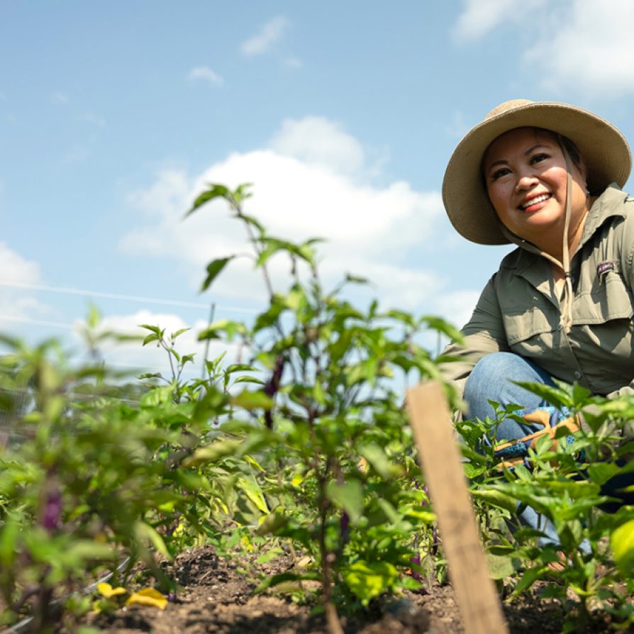 As a refugee in the early 1980s, Phimmasone Kym Owens couldn’t find foods that she knew from her native Laos. As an LSA student, she helped to ease others’ transitions to the U.S. by founding a refugee garden on campus.