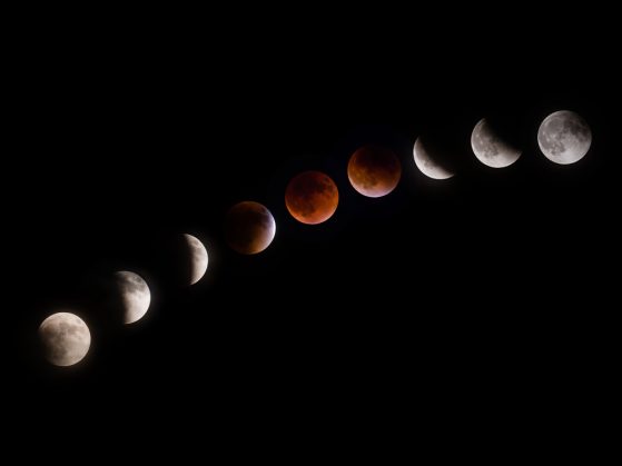 The image shows different phases of a total lunar eclipse on a diagonal from the bottom left to top right with the red moon in the center, displayed on a black background.