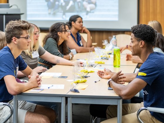 Students sitting together at either end of a long table. There are bags of blue and yellow M&M candies in plastic bags between them.
