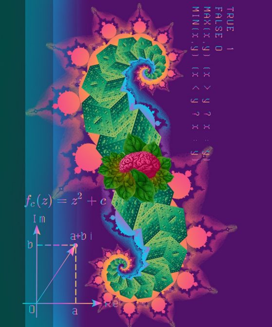 Illustration showing mathematical equations and fractals, which are part of Professor Sarah Koch’s research. 