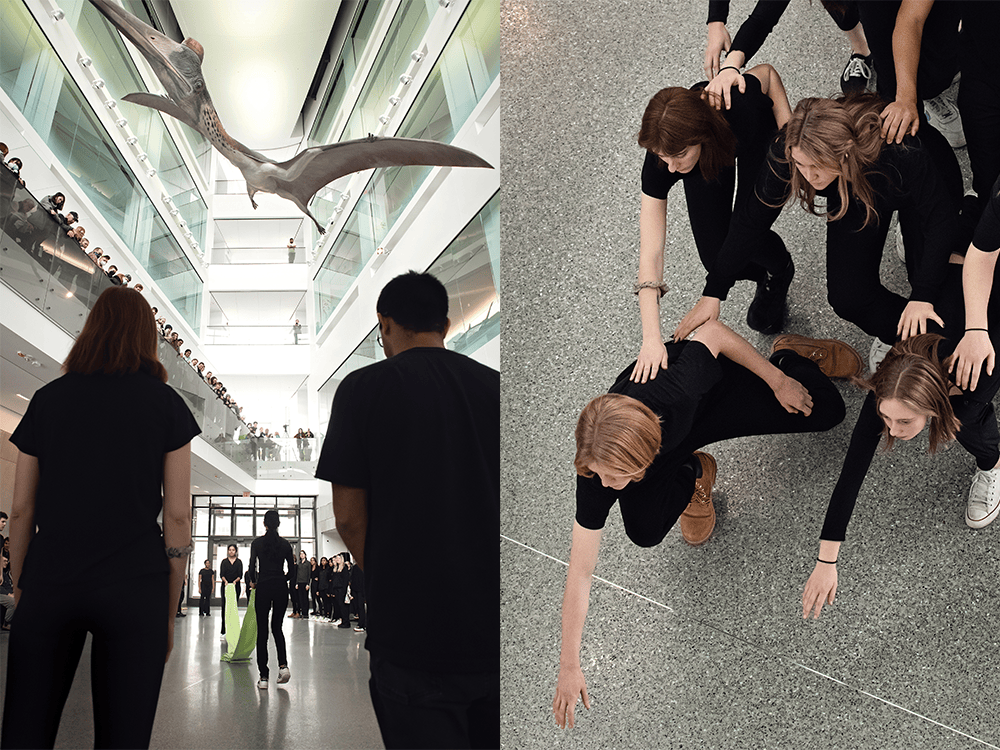 Side-by-side photos show the backs of two students wearing all black, standing in the lobby of the University of Michigan Museum of Natural History, with dancers holding a long green ribbon in the background, all standing under the reconstructed fossil of  a pterosaur Quetzalcoatlus northropi; in the image on the right, four students dressed all in black are photographed from overhead as they participate in a dance performance, with hands reaching forward and their bodies crouched.