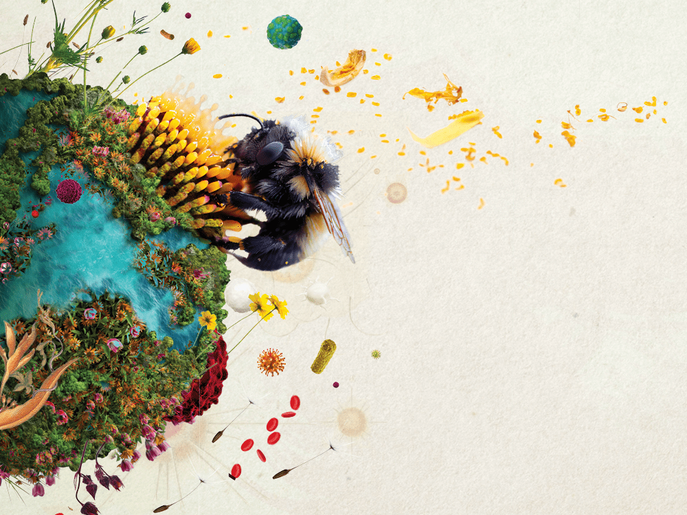 A photo illustration of a planet covered in moss, pollen, and grasses, and a huge bumblebee attached to a yellow flower on its surface.