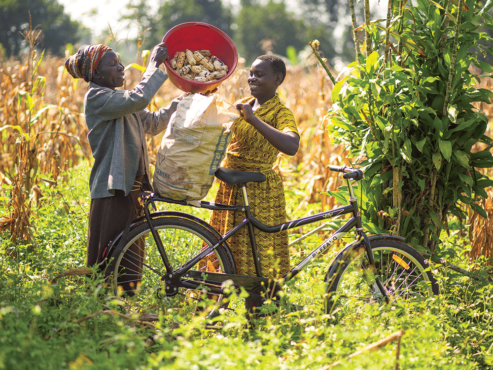Two people stand in a field with a bicycle, smiling while pouring a harvest from a basket into a large bag. 