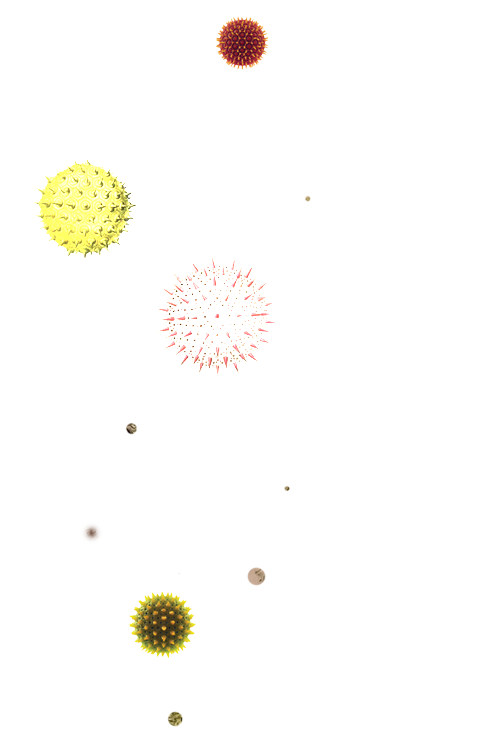 Several drawings of pollen