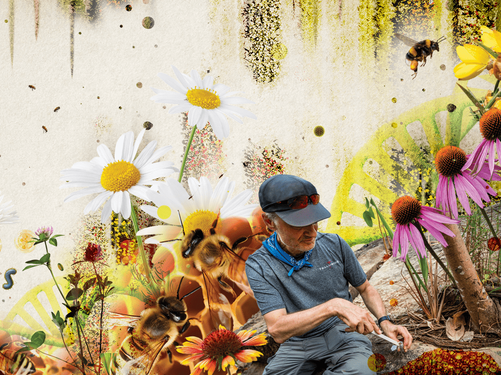 A person in a gray short-sleeved shirt, baseball cap, with a bandana around his neck, looks down toward a tube in which he is collecting a sample of soil. He is surrounded by images from nature, including bees, a honeycomb, and flowers.
