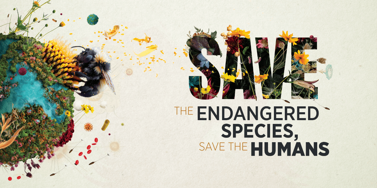 A photo illustration of a planet covered in moss, pollen, and grasses, and a huge bumblebee attached to a yellow flower on its surface. Stylized text says “Save the Endangered Species, Save the Humans.”