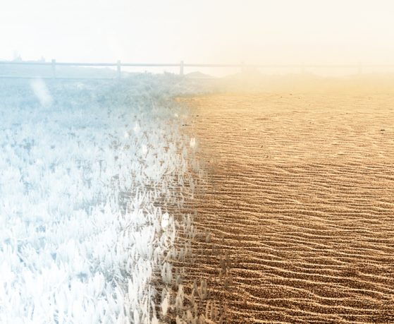 A frost covered landscape (left) that transitions to sand (right). 