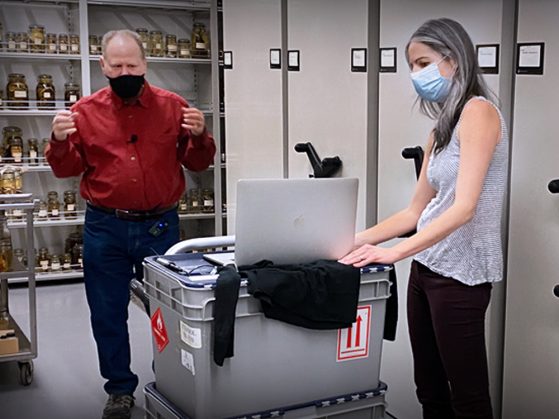 Alison Davis Rabosky takes her class on a virtual trip to the U-M Museum of Zoology (UMMZ) where students learned about an array of specimens.