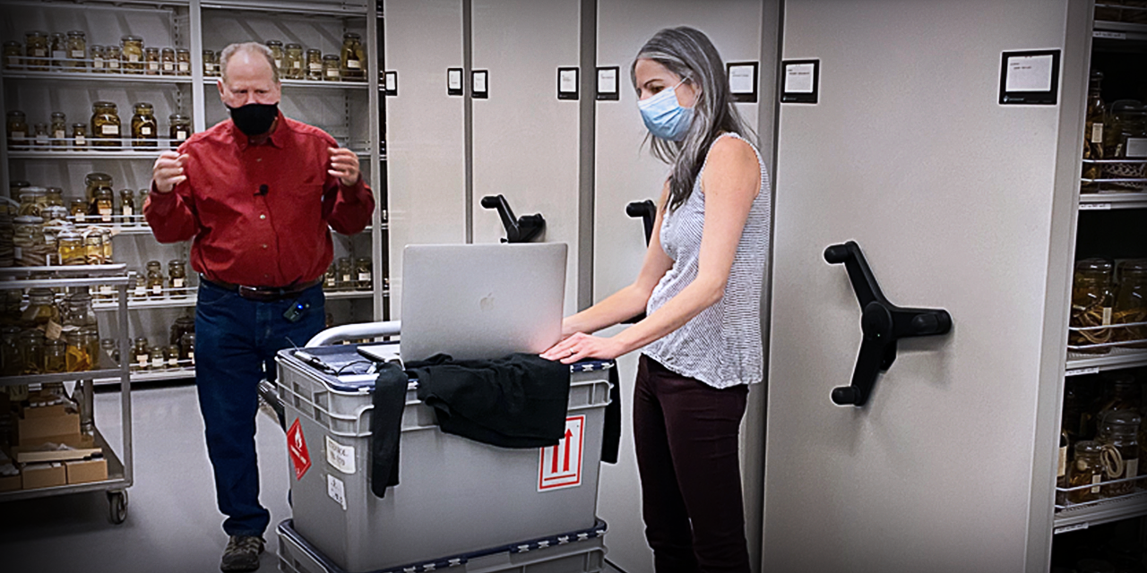 Professor Alison Davis Rabosky takes her class on a virtual trip to the U-M Museum of Zoology (UMMZ) where students learned about an array of specimens.