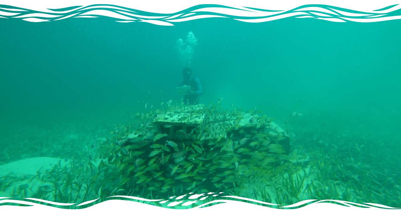 Jacob Allgeier takes notes under water on a small, hand-held board while observing an artificial reef surrounded by fish.