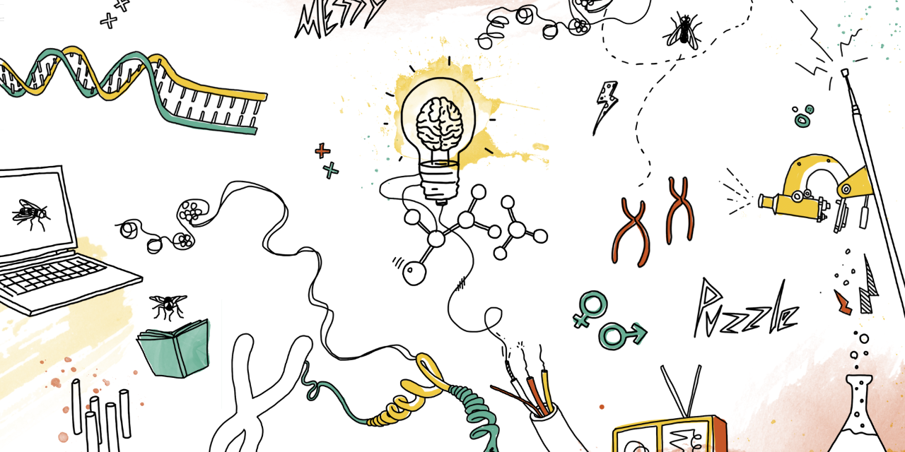 Artwork illustrating Josie Clowney’s DNA research