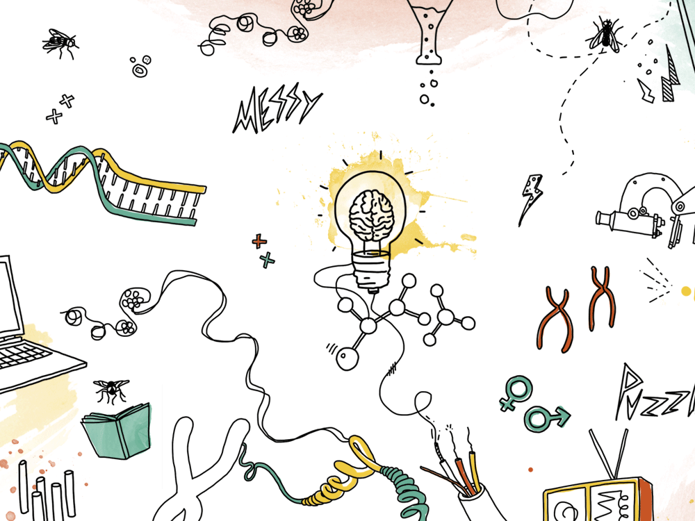 Artwork illustrating Josie Clowney’s DNA research