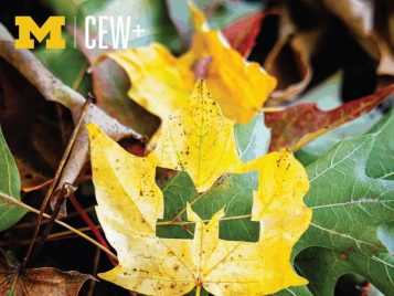 Scholarship-Cover-2025-1024x1024