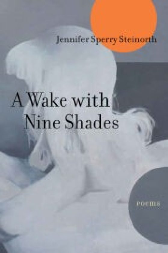 Book cover - A Wake With Nine Shades: Poems by Jennifer Sperry Steinorth