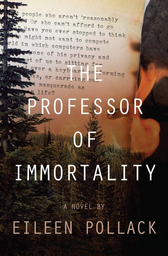 The Professor of Immortality by Eileen Pollack - Book cover