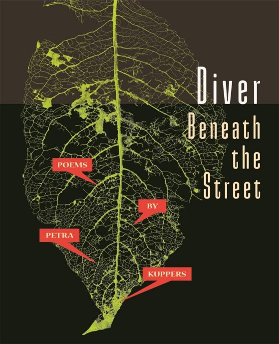 Book cover - Diver Beneath the Street by Petra Kuppers