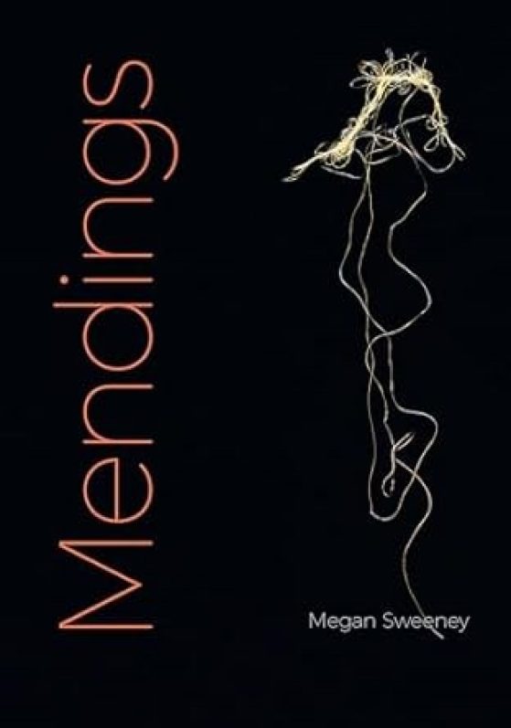 Book cover - Mendings by Megan Sweeney