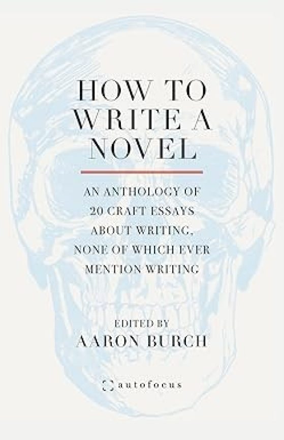 Book cover - How to Write a Novel:  An Anthology of 20 Craft Essays About Writing, None of Which Ever Mention Writing edited by Aaron Burch