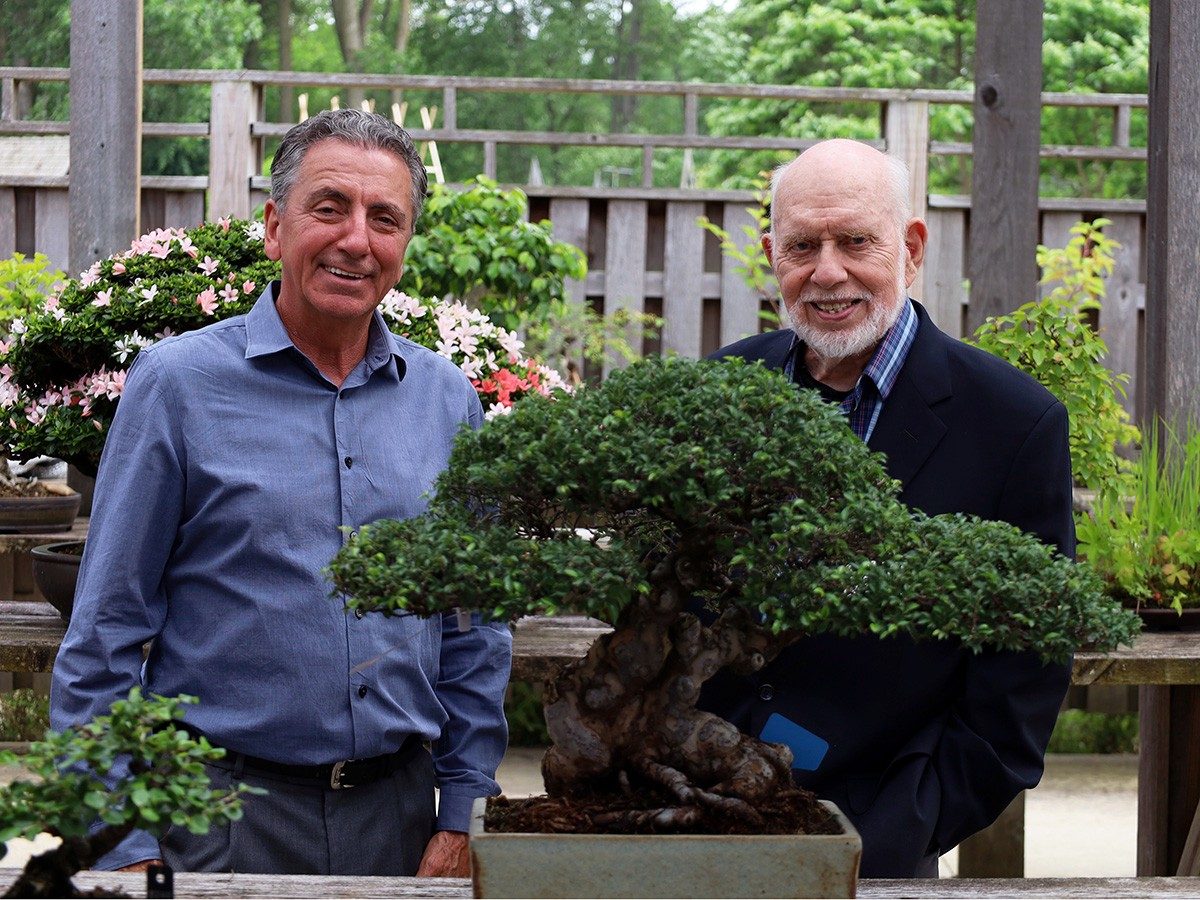 two men stand behind a bonsai tree