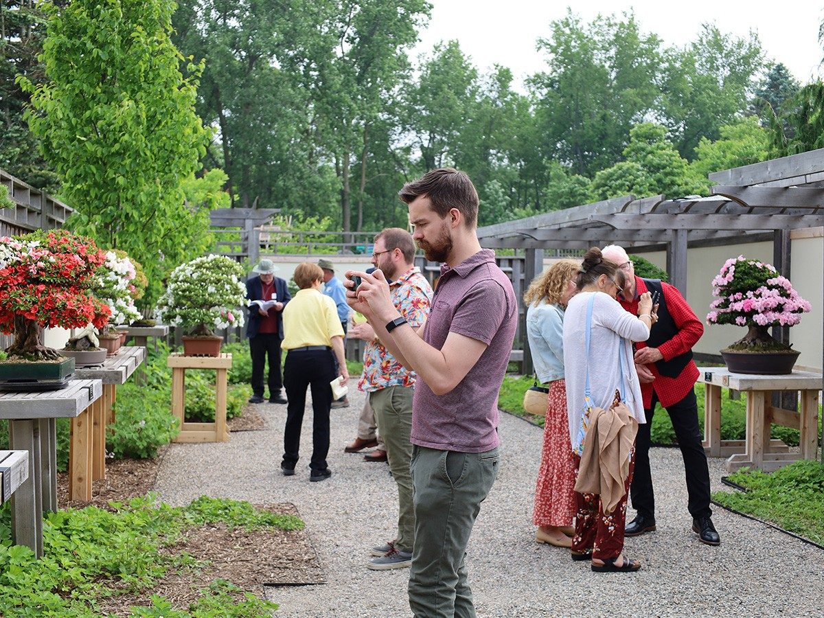 a group of people wander down an outdoor garden pathway, stopping to explore bonsai on both sides; in the foreground, a man takes a picture of one of the trees 