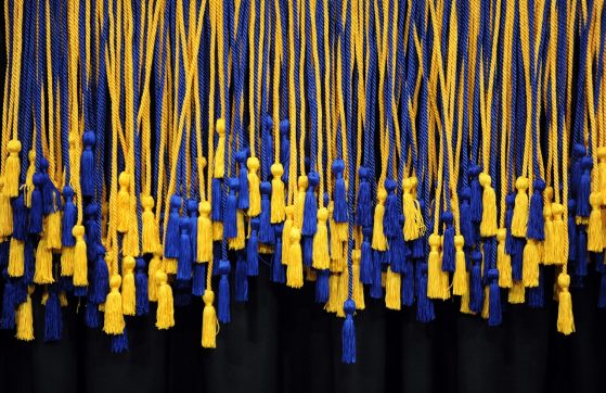 Maize and blue Honors cords 