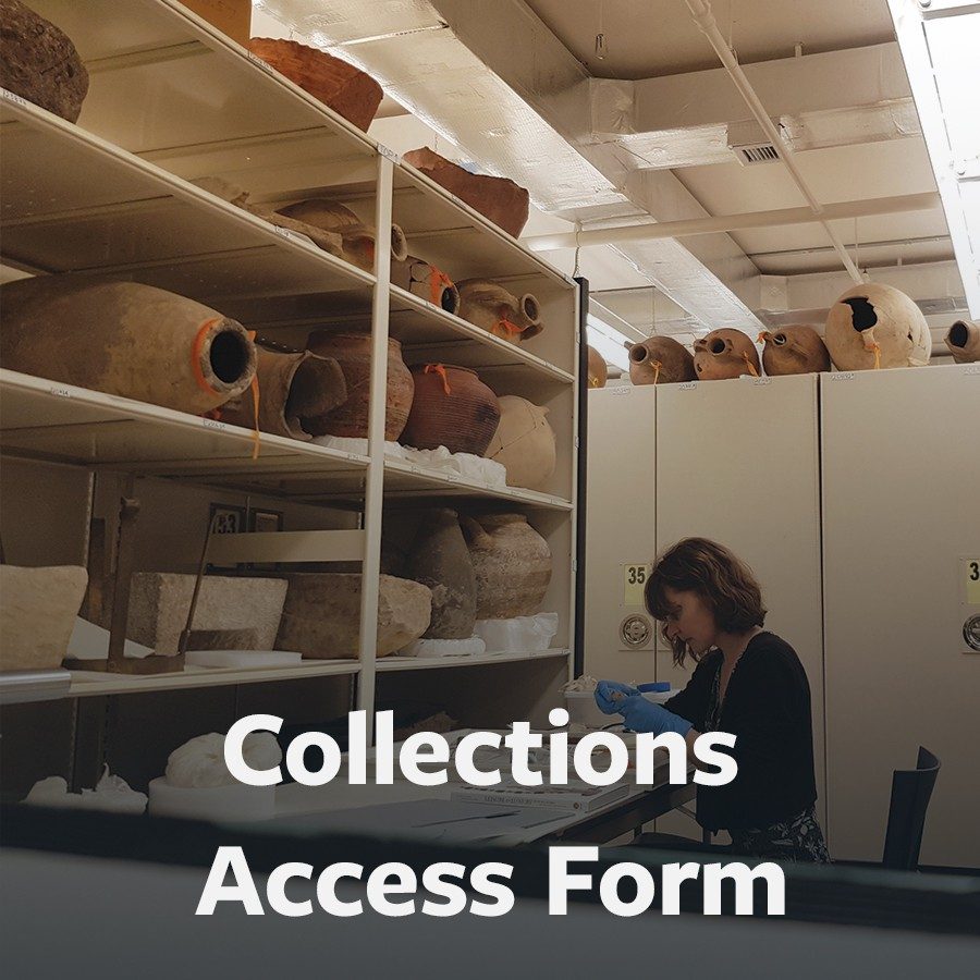 Collections Access Form button.